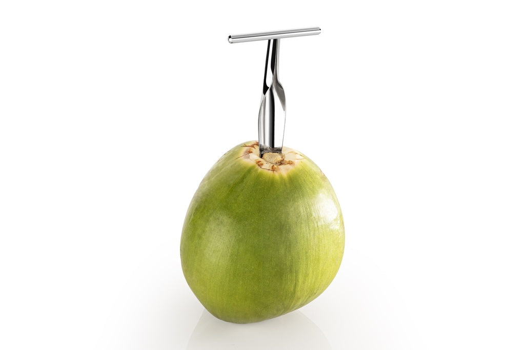 Caribbean Arrow_Coconut_Opener