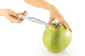 Caribbean Arrow_Coconut_Opener
